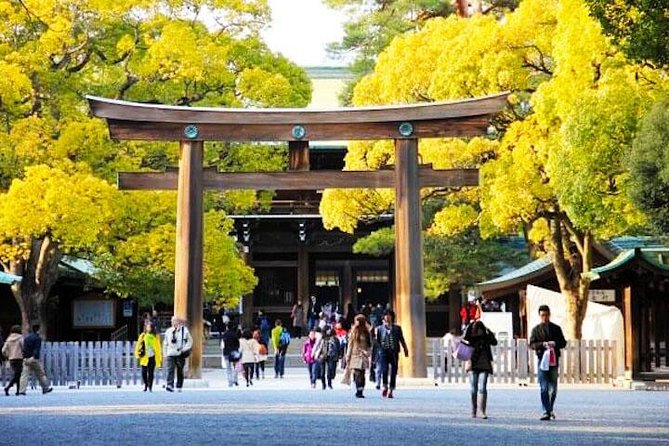 Private Tokyo Custom Half-Day Tour by Chartered Vehicle - Your Charter Vehicle: How Comfort and Timing Work