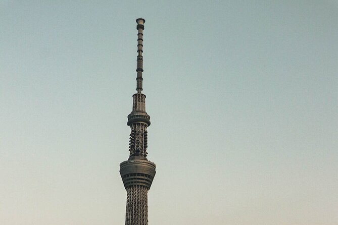 Private Tokyo Day-Tour by Car with English Speaking Guide. - Shibuya Sky, Tokyo Tower, and Skytree: When the Ticket Cost Is Worth It