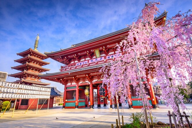 Private Tokyo Tour with English Speaking Guide - Starting at Tokyo Station, Then Letting Neighborhoods Do the Work