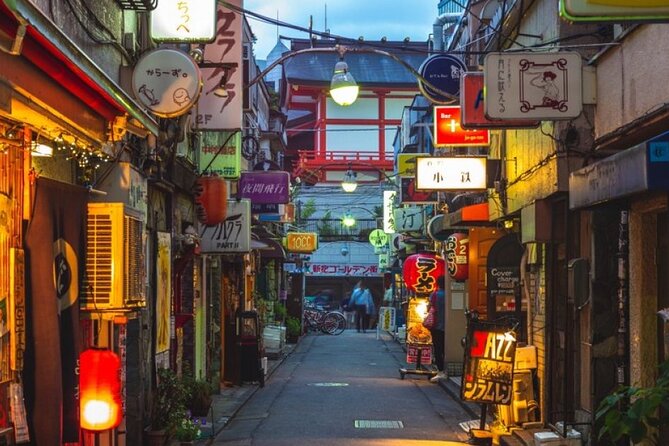Private Tokyo Tour with English Speaking Guide - Asakusa and Senso-ji Temple: Old Tokyo You Can Walk Through