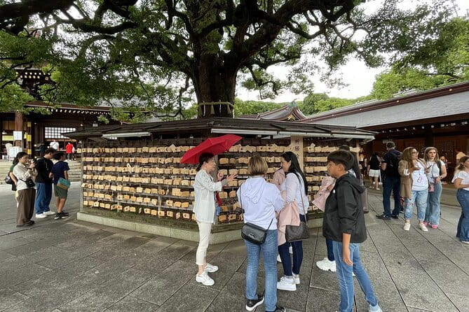 Private Tokyo Tour with Local Guide - What $130 Gets You in a City That Can Beat You