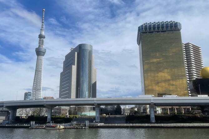 Private Tokyo Tour with Local Guide - How the Tour Actually Moves: Pickup, Pace, and Your Start Time