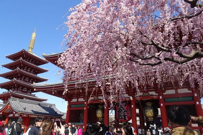 Private Tokyo with Exceptional Guide Tailored to Your Needs - Picking Public Transport vs Private Car (and Why It Changes Everything)