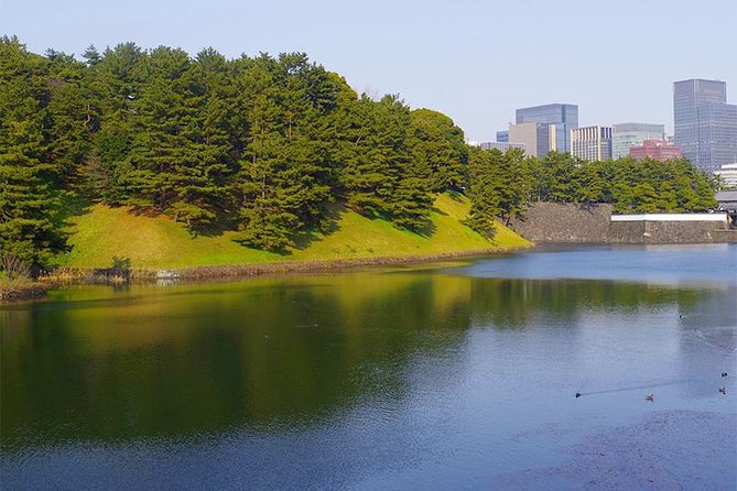 Private Tour - History, Art and Nature at the Imperial Palace - National Museum of Modern Art: ticket not included, worth timing