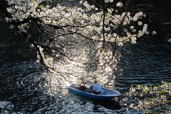 Private Tour - History, Art and Nature at the Imperial Palace - Kitanomaru Park: open lawn time inside the palace world