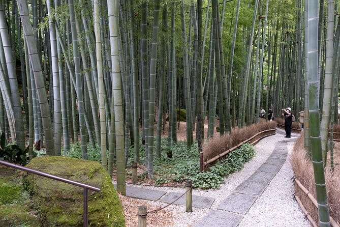 Private Tour in Kamakura: Matcha Tea Tasting & Photo Session - Meeting at Kamakura Station, then getting your shot list