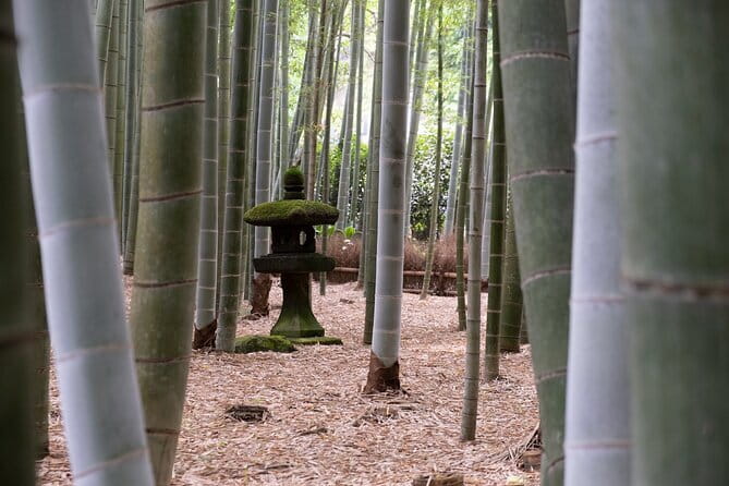 Private Tour in Kamakura: Matcha Tea Tasting & Photo Session - The photographer part that people actually care about