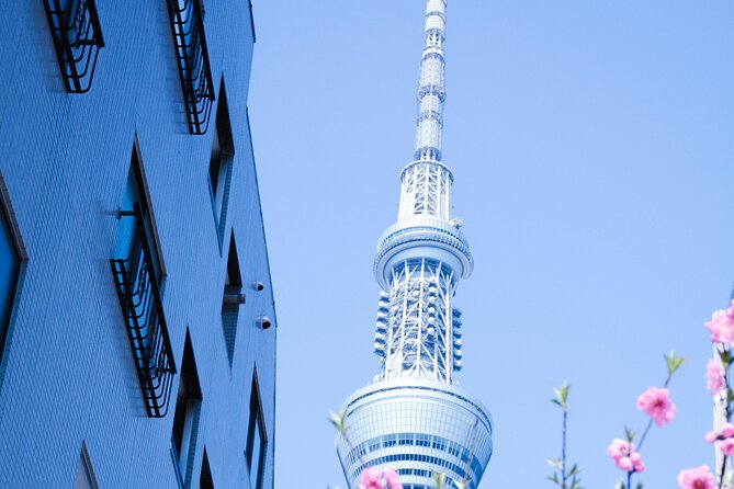 Private Tour in Tokyo with English speaking driver - Price and value for up to 3 people