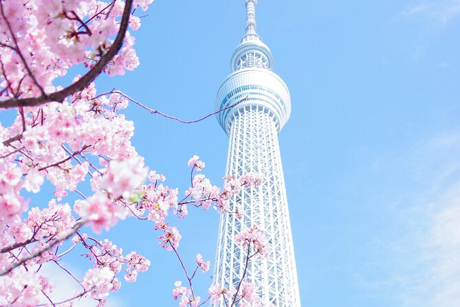 Private Tour in Tokyo with English speaking driver - Ueno Park for a big green reset, and cherry blossom season
