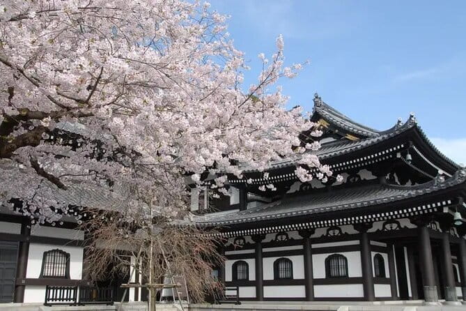 Private Tour Kamakura Yokohama Day Trip English speaking driver - Why This Kamakura and Yokohama Combo Works So Well