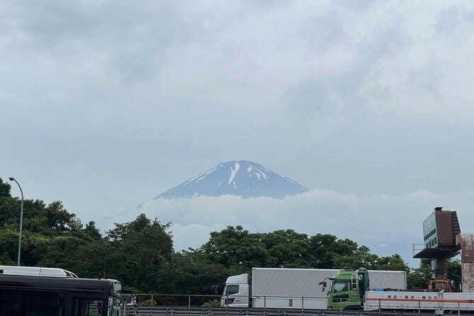 Private tour - Scenic Fuji Escape: Hakone, Peace Park & More - Kitaguchi Hongu Fuji Sengen Jinja: UNESCO Forest Shrine With Big Presence