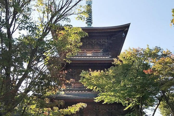 Private Tour - Thousands of lucky cats! Go by tram, Gotokuji Tour - Stop 1, Shoin Shrine for a Calm, Reverent Start