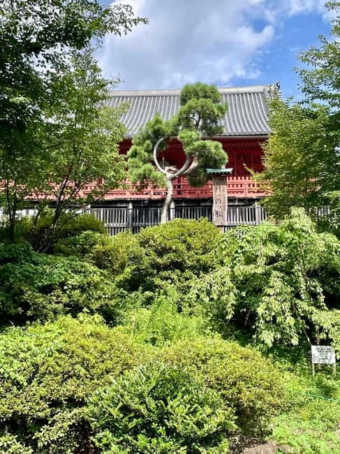 Private Tour Through the Tokyo National Museum & Ukiyo-e - Ueno Toshogu Shrine and Tokugawa-era connections you can actually feel
