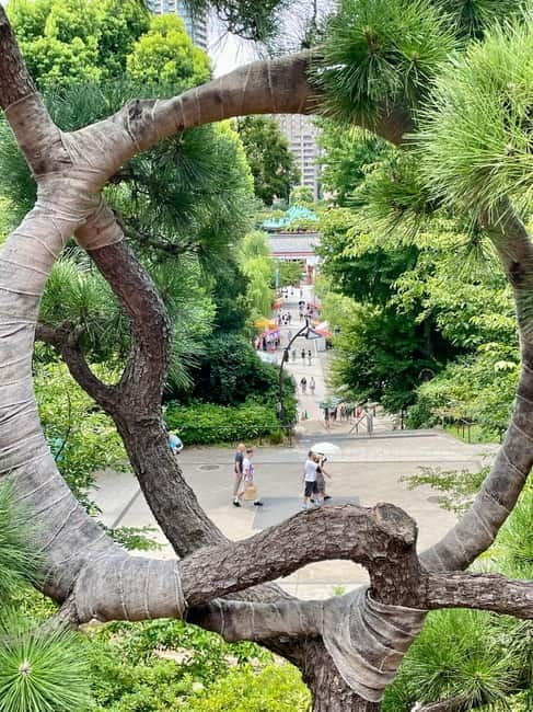 Private Tour Through the Tokyo National Museum & Ukiyo-e - Price and value: is $74 per person worth it?