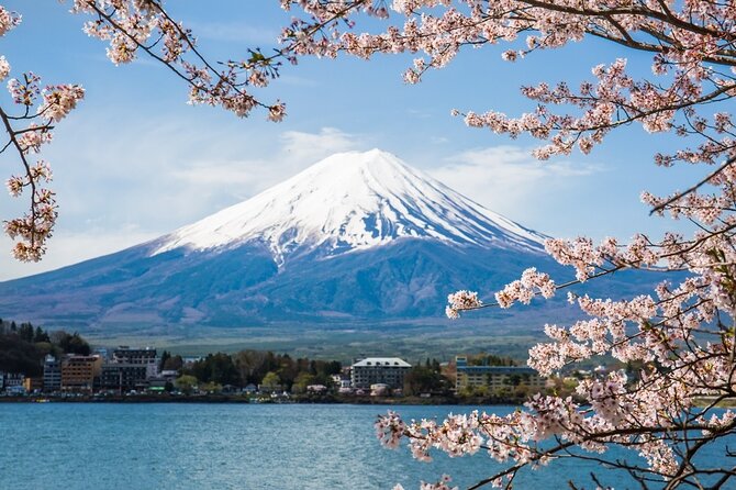 Private tour to Mount Fuji and Hakone from Tokyo - Key highlights I’d plan around