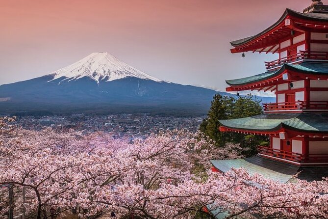 Private tour to Mount Fuji and Hakone from Tokyo - How the day works when you start in Tokyo