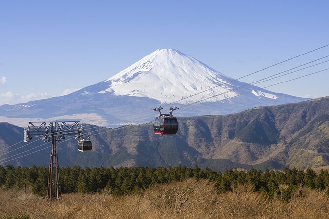 Private tour to Mount Fuji and Hakone from Tokyo - Mt. Fuji 5th Station: what you can expect, and what you should budget
