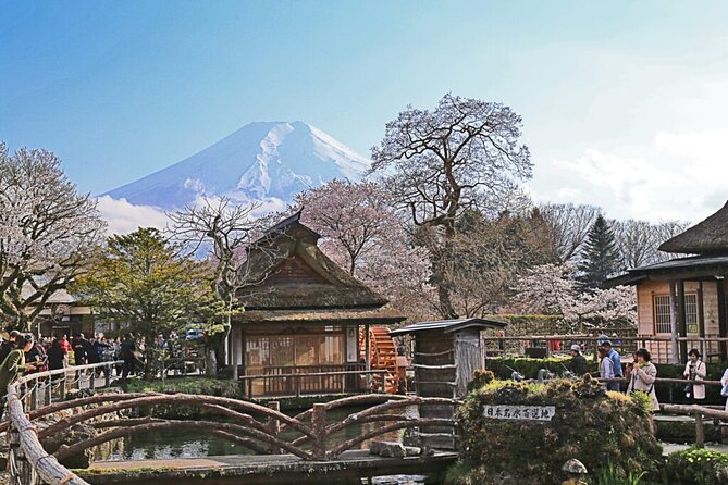 Private tour to Mount Fuji and Hakone from Tokyo - Price and value: what $430 covers, and what can cost extra