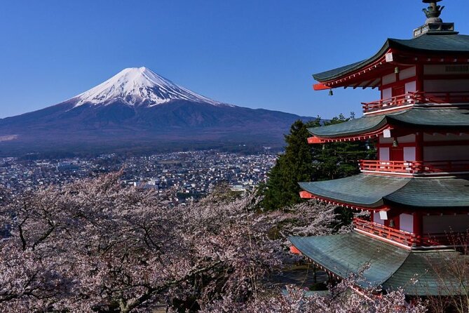 Private tour to Mount Fuji with an English driver from Tokyo - Key things that make this tour worth your time