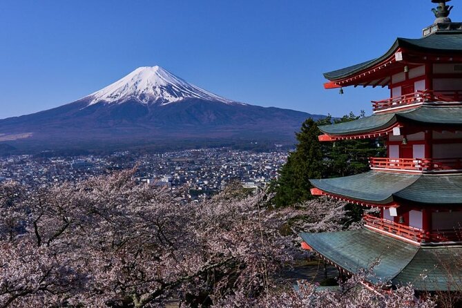Private tour to Mount Fuji with an English driver from Tokyo - Mt. Fuji 5th Station: the big views, plus guided context