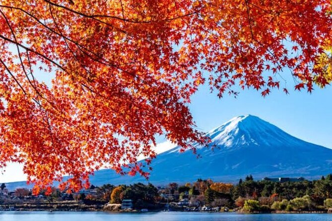 Private tour to Mount Fuji with an English driver from Tokyo - Oishi Park and Lake Kawaguchi: the classic Fuji photo angle