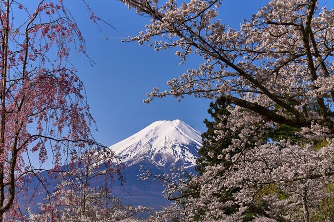 Private tour to Mount Fuji with an English driver from Tokyo - Chureito Pagoda and the Fujiyoshida, Fujikawaguchiko triangle