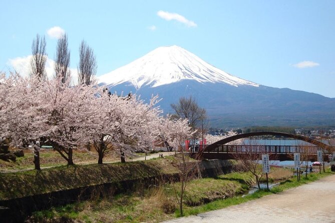 Private tour to Mount Fuji with an English driver from Tokyo - Mount Fuji walking time: a guided hike feel without the full climb