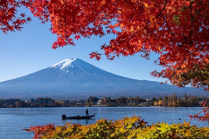 Private tour to Mount Fuji with an English driver from Tokyo - Fuji-Q Highland: thrilling in theory, closed in the plan