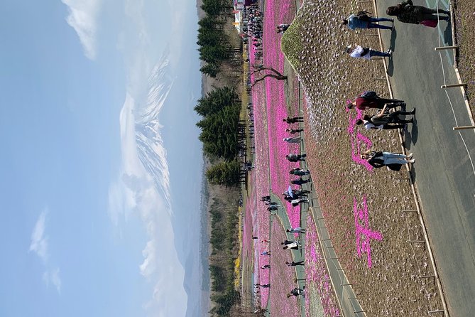 Private Tour to Mt. Fuji and Hakone (Fully Licenced Operator) - Hakone side: Lake Ashi and the pirate-ship vibe