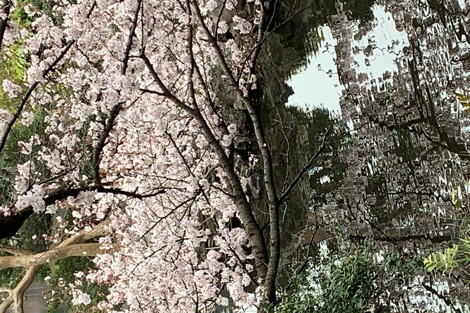 Private Tour to Mt. Fuji and Hakone (Fully Licenced Operator) - Oshino Hakkai: the calm walk-and-snap break that most people remember