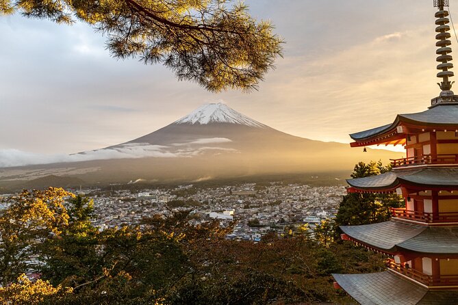 Private Tour to Mt Fuji and Hakone with English Speaking Driver - Lake Ashi cruise: torii gate views and a pirate-ship style ride