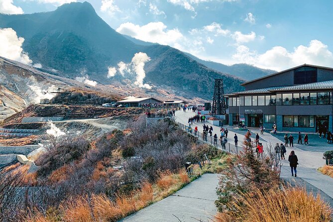 Private Tour to Mt Fuji and Hakone with English Speaking Driver - Timing and weather strategy: how guides make or break the day
