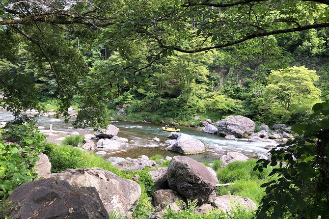 Private Tour: Tokyo's Oldest Sake Brewery and Riverside Walk - Price and value: what $229.95 buys you in real terms