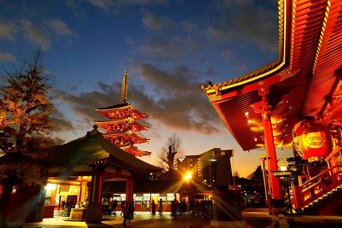 Private tour Tokyo - The Harmony of Modernity and Tradition - Key Points You’ll Care About