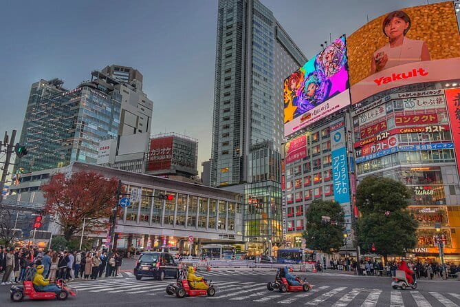 Private Tour with a Local Guide - Learn about daily life in Japan - Key Points Worth Knowing