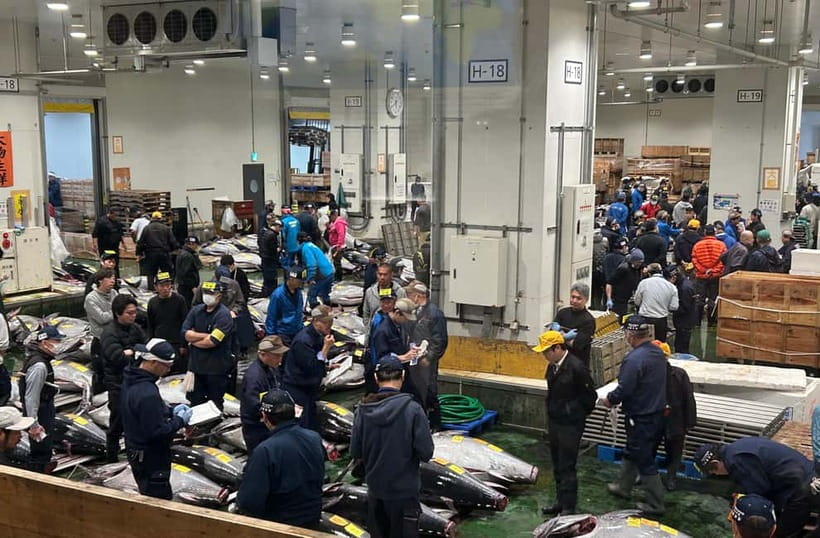Private Toyosu & Tsukiji Market Adventure with Tuna Auction - Key highlights worth getting excited about