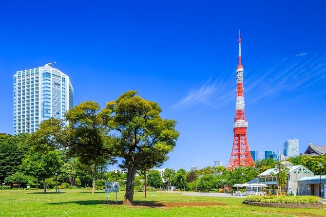 Private Transfer for Custom Day Tour in Tokyo - Key points to know before you go