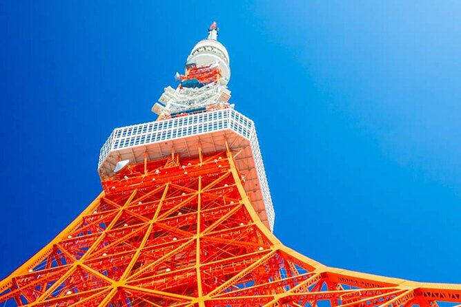 Private Transfer for Custom Day Tour in Tokyo - Odaiba Seaside Park: modern Tokyo with a relaxed feel