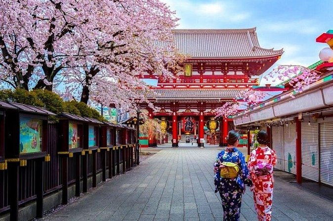 Private Transfer for Custom Day Tour in Tokyo - Tokyo Tower: the postcard view with extra admission to plan for