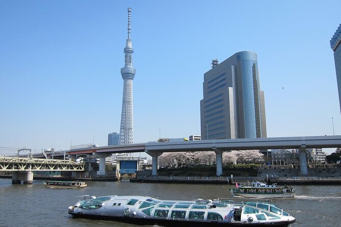Private Transfer for Custom Day Tour in Tokyo - Price and value: what $208.10 per person really buys