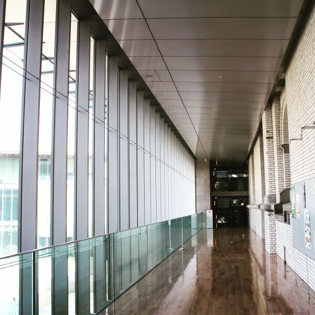 Private Ueno Park Architecture Tour - Who this tour is best for