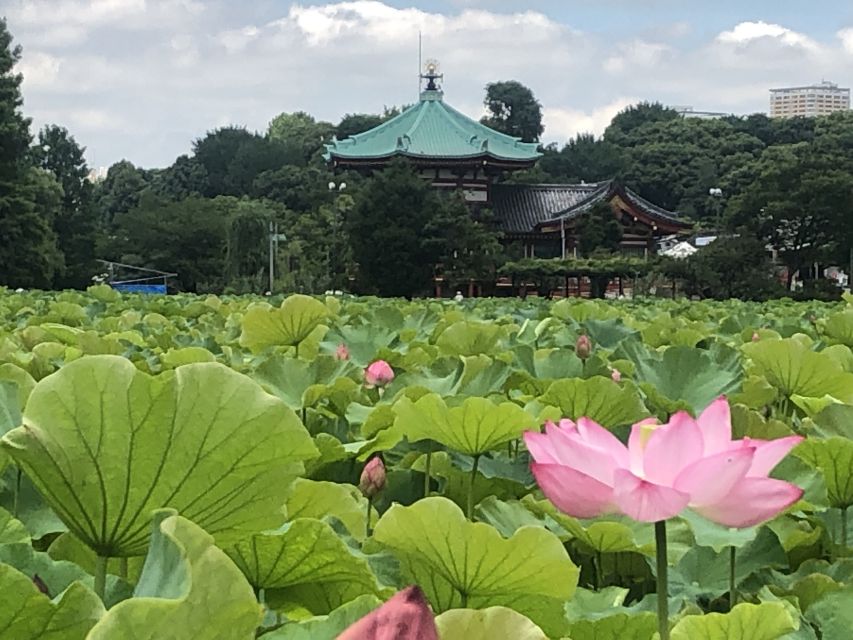 Private Ueno Park Architecture Tour - International Library of Children’s Literature, where preservation meets new design