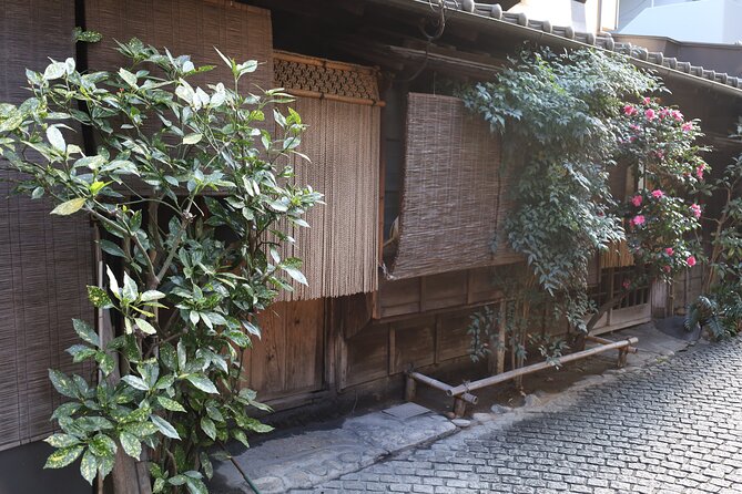 Private Walking Tour: The Little Kyoto of Tokyo, Kagurazaka - Stop 5: Remains of Ushigome Gate, the Edo Castle outer moat story