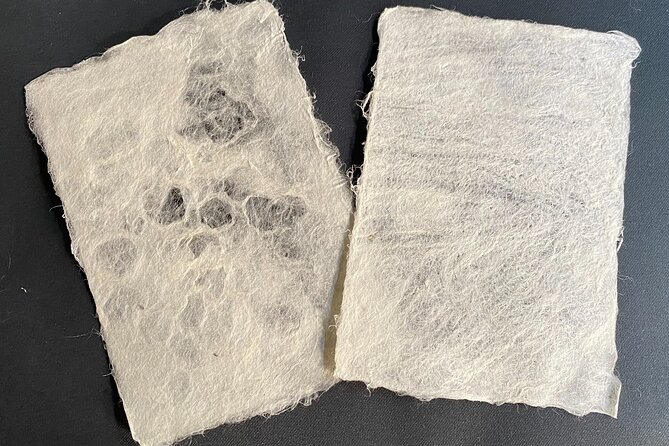 Private Workshop to Create Paper Last for 1,000 years in Ueno - The Papermaking Steps: Hyouhitor, Dakai, Mold, Deckle, and Sifting