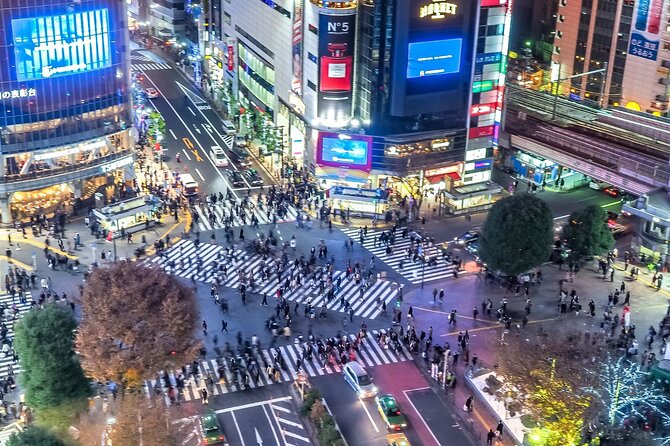 Real Anime Culture Tour in Shibuya: Food, Shopping & Game Fun - Price and Logistics: Is $75 Good Value?
