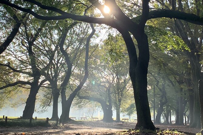 Sacred Morning Walk and Brunch Meiji Shrine - Price and Value: What You Actually Pay For