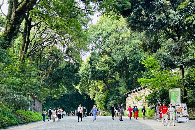 Sacred Morning Walk and Brunch Meiji Shrine - Meiji Jingu Etiquette, Explained So You Can Follow Along