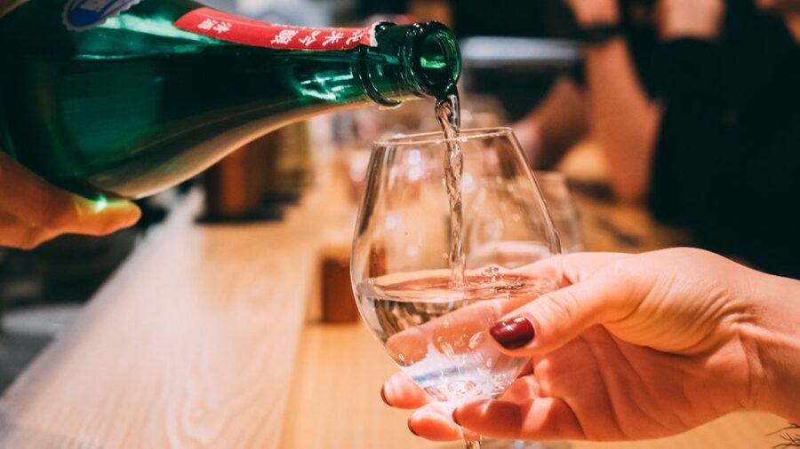 Sake & Food Pairing with Sake Professional - Food Pairing With Japanese Snacks: More Than Just a Bite