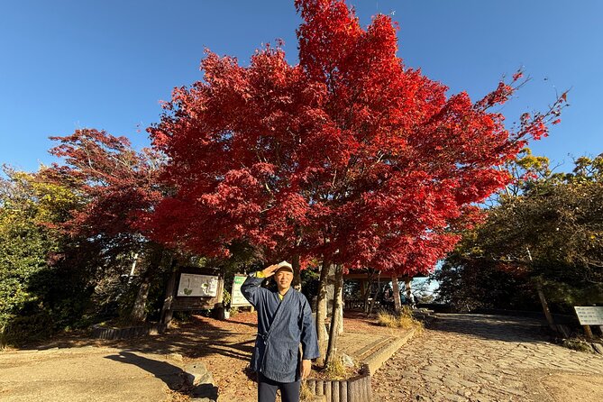 Samurai Guide Sho’s Mt. Takao Hike, Temple & Onsen from Shinjuku - Why Mt. Takao feels like a Tokyo day trip win