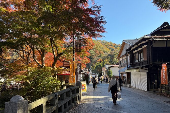 Samurai Guide Sho’s Mt. Takao Hike, Temple & Onsen from Shinjuku - Summit time at Ōmiharashidai, plus snack breaks and Mt Fuji odds
